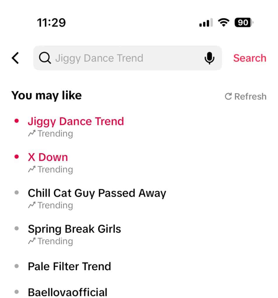 TikTok following