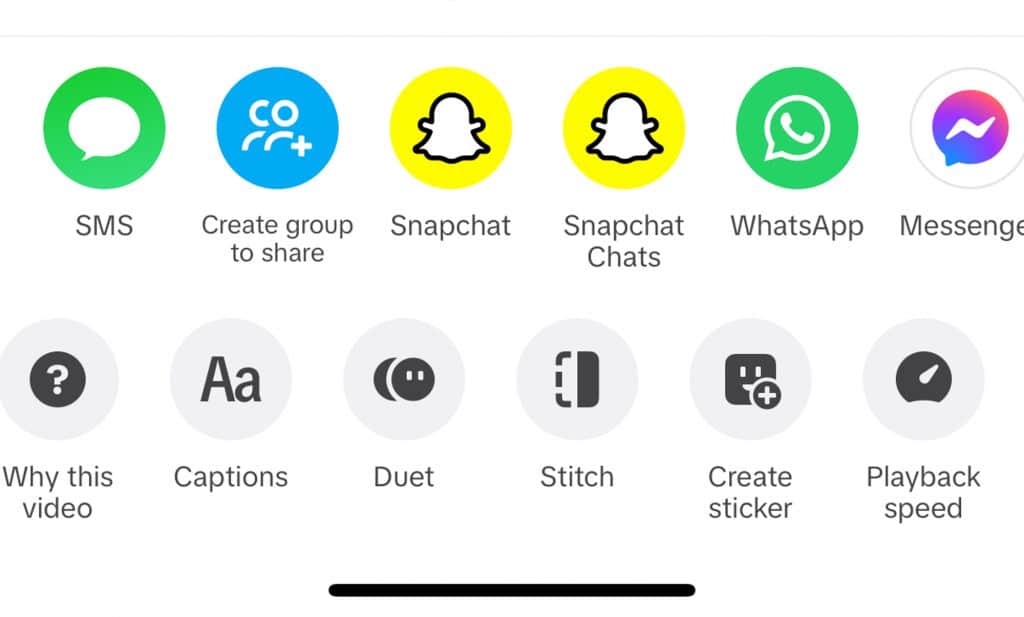TikTok following