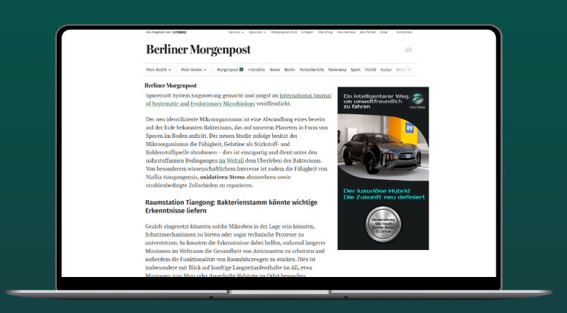 Display Ads